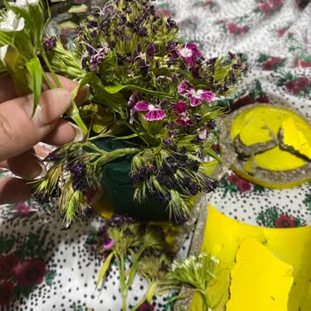 Canlı Çiçek Değil: Toprak Ve Kök Yok