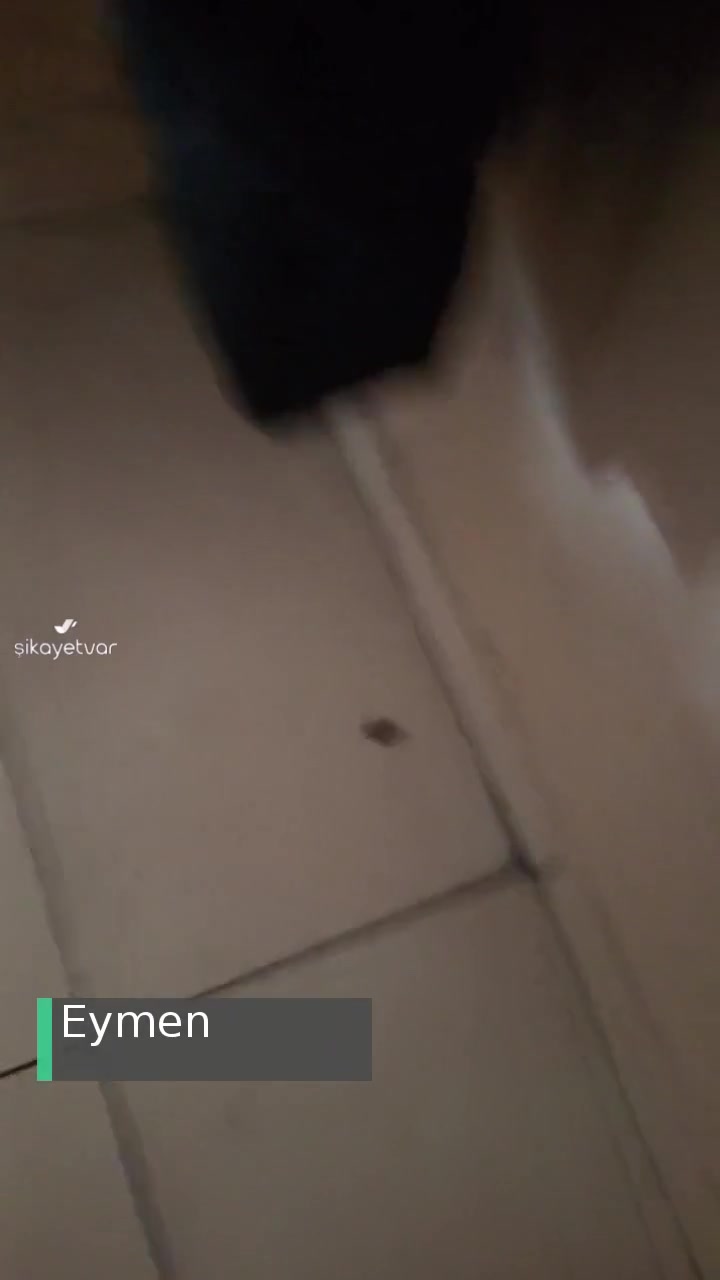 Milli Eğitim Bakanlığı Okulda Böceği Karıncalar Yiyor videonun kapak resmi