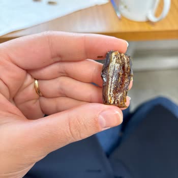 Hurmalarda Kurtlar Tespiti Hijyen Ve Sağlık Sorunu