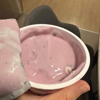 Sek Quark Probiyotik Yoğurtta Son Kullanma Tarihi Geçmemişken Küf Sorunu