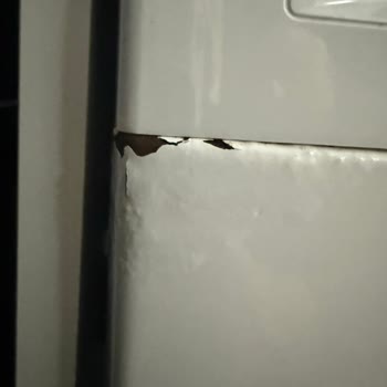 Bosch Çamaşır Makinesinin Yan Panellerindeki Boya Kabarması Ve Paslanma Garanti Kapsamına Alınmalı