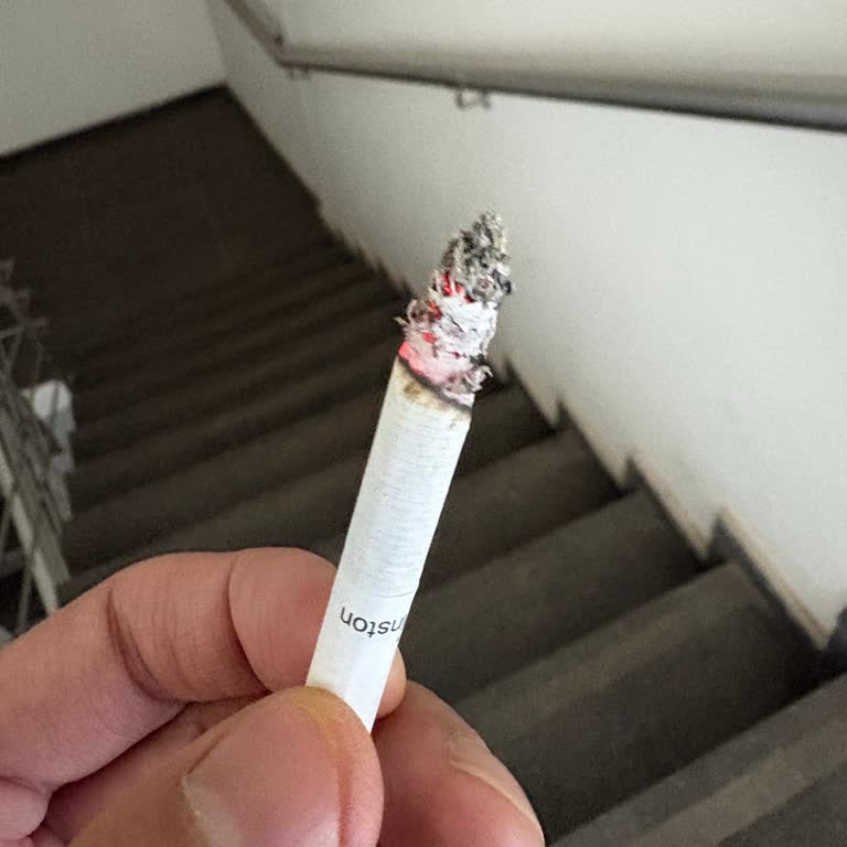 Winston Dark Blue Sigara Kalite Düşüşü Küf Kokusu Ve Acı Tat Şikayeti