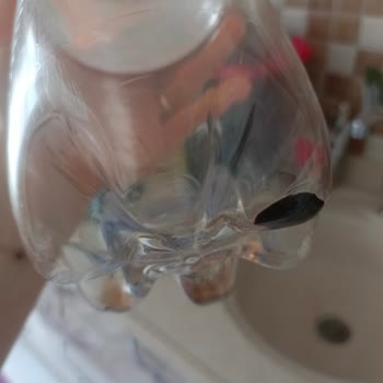 Şişede Siyah Tortu: Çaykur Didi Şeftalili İçecekte Gıda Güvenliği Sorunu