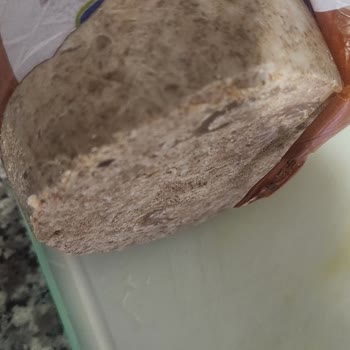 Aşırı Yağlı Ve Düşük Et Oranlı Torku Kavurma Şikayeti