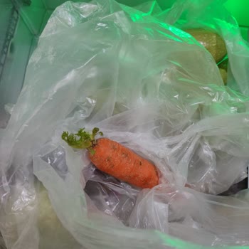 Arçelik Buzdolabım Soğutma Sorunu Ve Sürekli Küflenme, Yenisi İsteniyor