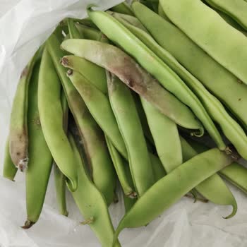 Arçelik Buzdolabım Soğutma Sorunu Ve Sürekli Küflenme, Yenisi İsteniyor