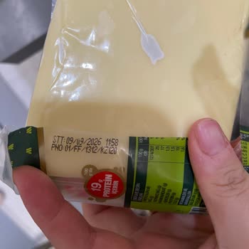 Muratbey Kaşar Peynirinde Hızlı Küflenme