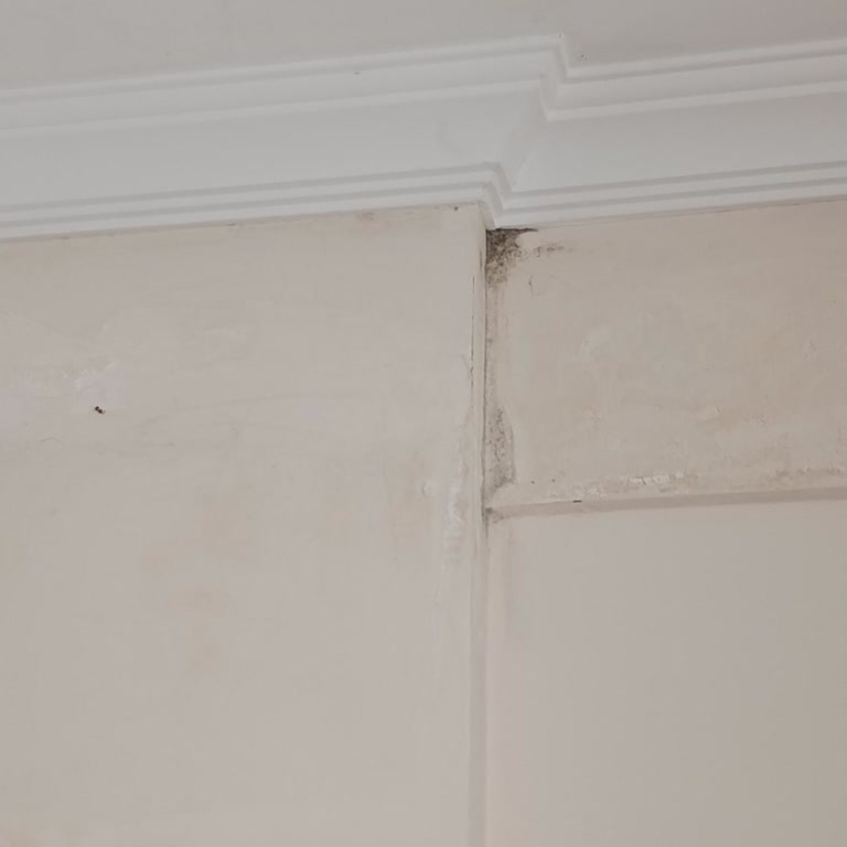 Su Baskını Sonrası Boya Ve Badana Masraflarımın Sigorta Tarafından Kapsam Dışında Bırakılması