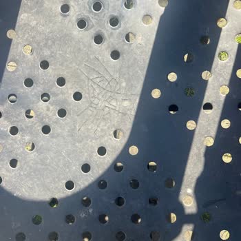 Beyoğlu Çocuk Parkı Güvenlik Ve Bakım Sorunları İçin Acil Çözüm Talebi