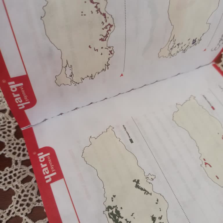 Eksik Ve Tutkalı Olmayan Ders Notları, Kontrolsüz Gönderim Mağduriyeti