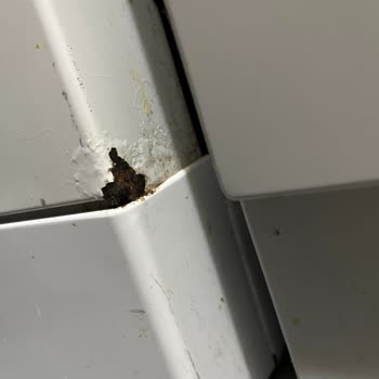 Arçelik Gövde Paslanması Ve Boya Kabarması Müşteri Desteğiyle Çözülmedi