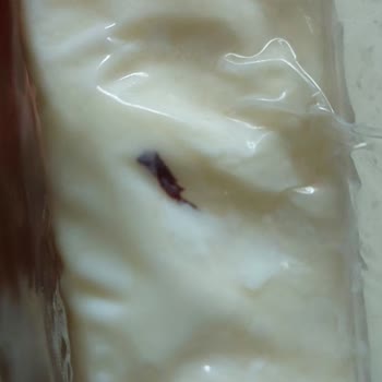 Ünal Peynirde Hamam Böceği Parçaları Ve Müşteri Hizmetlerinden Sessiz Kalınması