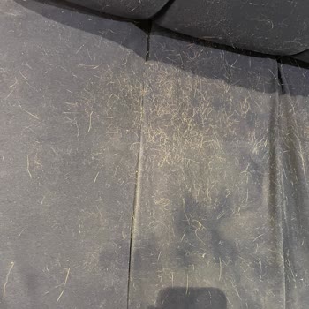 Kütüphane Koltukları Kirli Ve Rezervasyon Sistemi Adaletsiz