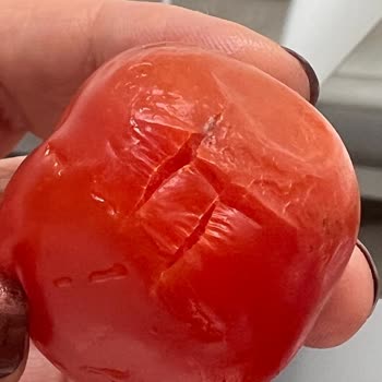 Küflü Salata, Sağlık Riski Ve Yetersiz Müşteri Hizmeti