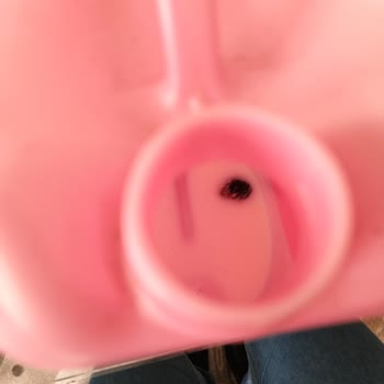 Peros Yumuşatıcısında Şeftali Çekirdeği Bulunması