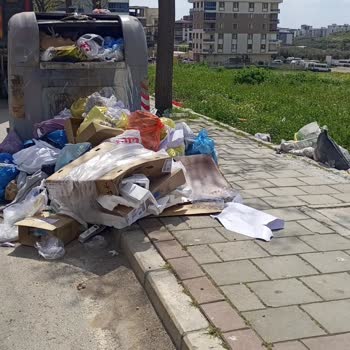 İzmir Çiğli'de Çöp Toplanmıyor, Kötü Koku Ve Sağlık Sorunu