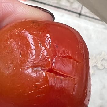 Yemeksepeti Tavuk Dünyası'ndan Kirli Salata, Sağlık Riski Ve Müşteri Hizmetleri İhmali