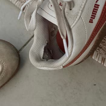 Puma Ayakkabısının İç Astarındaki Erken Yırtılma Ve İade Reddi