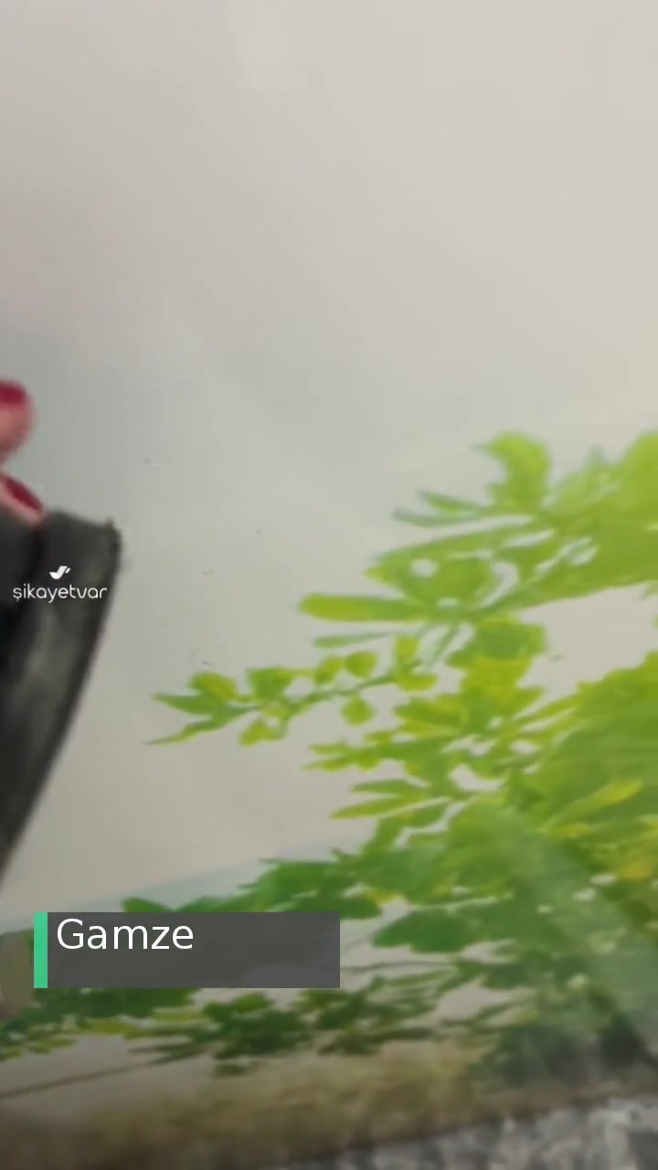 Pelin'in Ayakkabıları Ayıplı, Kalitesiz Ürün videonun kapak resmi