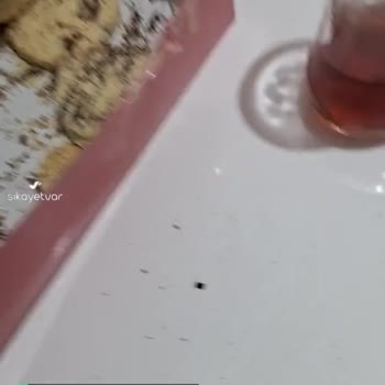 Tatlıbak Demir Telli Kuru Pasta, Son Anda Ağzımdan Çıkardım