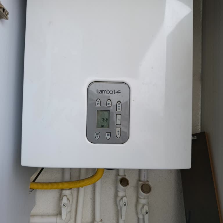 Garanti Altındaki Kombide Su Sızıntısı Ve Ücretli Vanalar Değişimi İtirazı