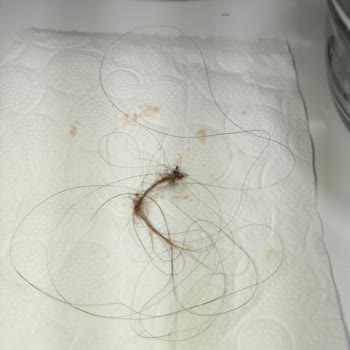 Cem Zeytincilik BİM Zeytin Yağlı Salamuraya Saç Düşmesi