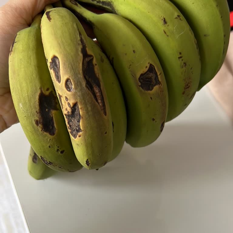 Avokado Bahçeniz Olgunlaşması Gerekirken Muzlar Çürümeye Başladı