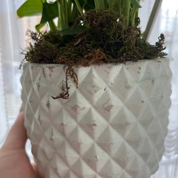 Yanıltıcı Teslimat Ve Ürün Hatası: Müşteri Hizmetlerinden Çözüm Yok