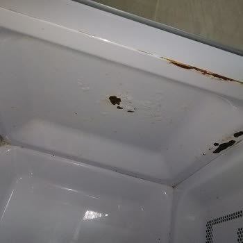 Garanti Kapsamındaki Mikrodalga Gövdesi Değişmedi Ve Boya Sorunu Çözülmedi