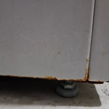 Profilo Çamaşır Makinesinde Kısa Sürede Küflenme Ve Paslanma Sorunu