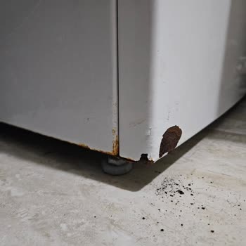 Profilo Çamaşır Makinesinde Kısa Sürede Küflenme Ve Paslanma Sorunu