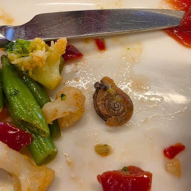 Tavuk Dünyası Şubesinde Haşlanmış Sebzede Sümüklü Böcek