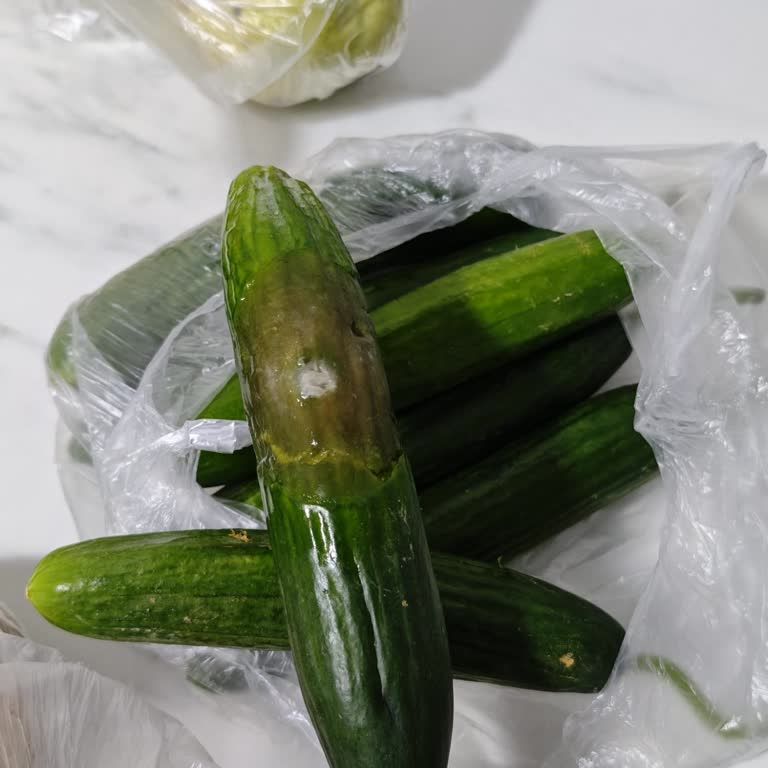 Migros Sanal Market’te Çürük Salatalıklar Ve Çözüm Sunmayan Müşteri Hizmeti