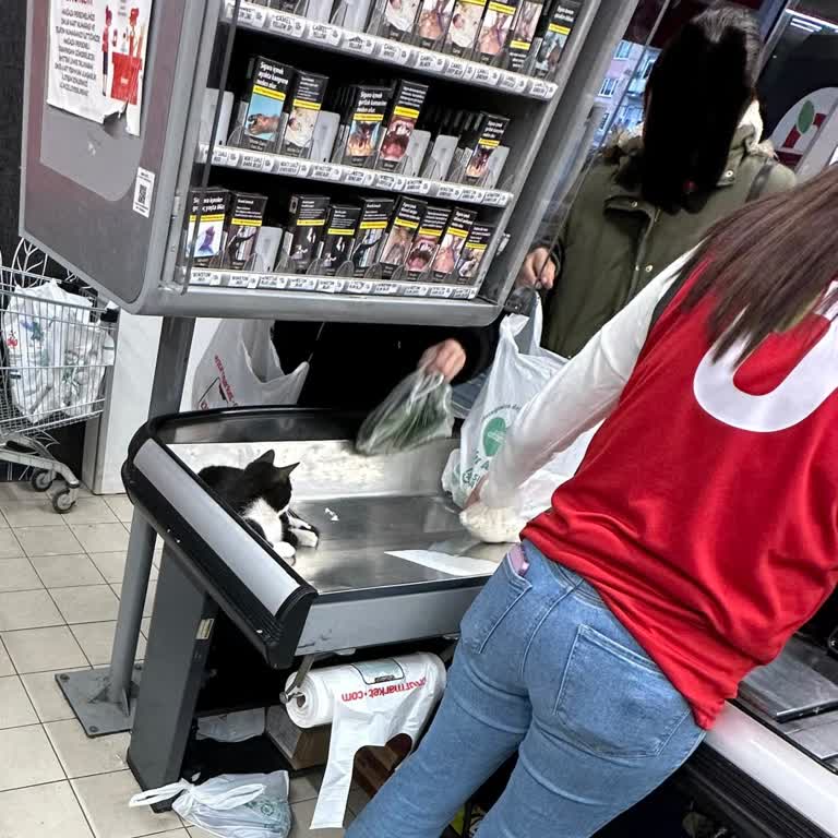 Onur Market’te Sokak Hayvanları Gıdalara Temas Ediyor: Hijyen Sorunu