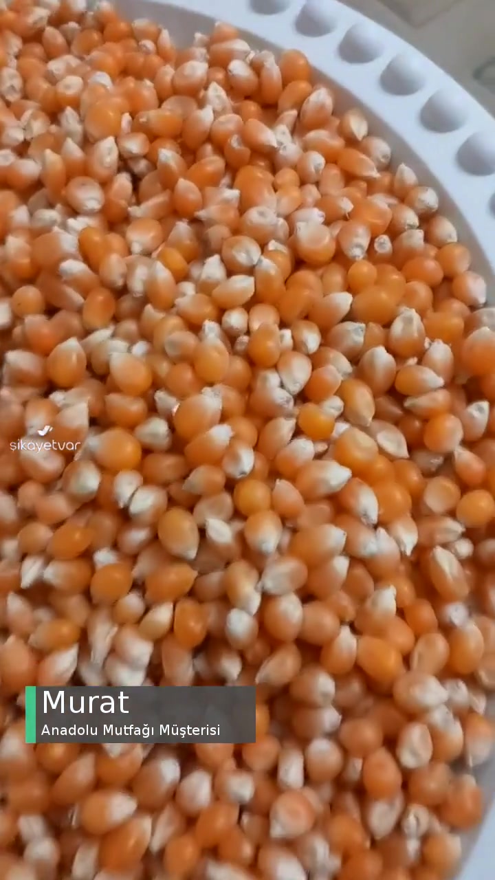 Şok Market Anadolu Mutfağı Cin Mısırından Böcek Çıktı! videonun kapak resmi