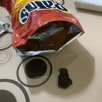 Patos Çipinde Yabancı Madde: Hijyen Ve Sağlık Riski