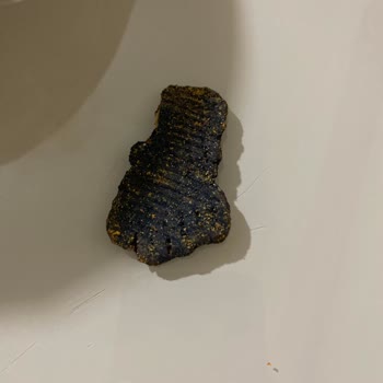 Patos Çipinde Yabancı Madde: Hijyen Ve Sağlık Riski