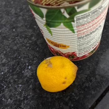 Profilo Buzdolabında Sürekli Gıda Bozulması Ve Değişim Talebi