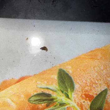 Trendyol GO’da Pakette Böcek Görülmesi Ve İade Talebi