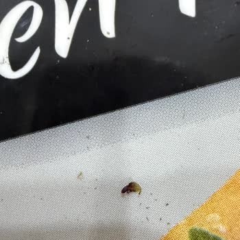 Trendyol GO’da Pakette Böcek Görülmesi Ve İade Talebi