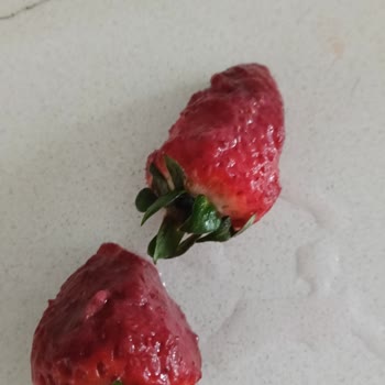 Şok Market'ten Küflü Çilek Teslimatıyla Sağlık Endişesi Ve Para Kaybı