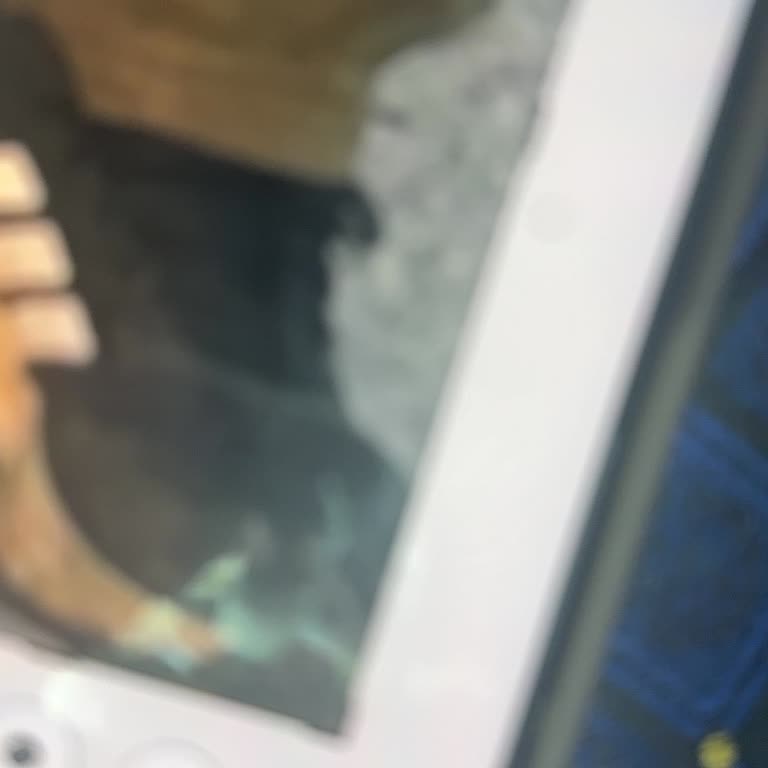 Ayakkabının Ön File Bölümünün Erken Yırtılması Ve Kusur Bulunamadı Reddedildi