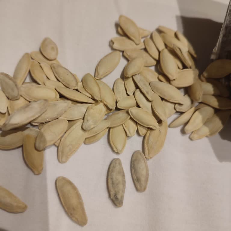 Çerezya Kabak Çekirdeği Küflü Ve Acı, Sağlık Ve Güven Endişesi