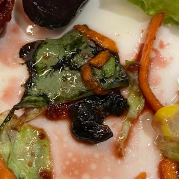 Soğuk Ve Çürük Gıdalar, Sağlık Sorunu Ve Ücret İadesi Talebi