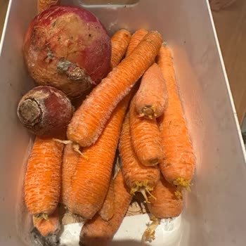 Siemens Buzdolabındaki Tekrarlayan Arıza Ve Gıda Kaybı Nedeniyle Ürün Değişimi Talebi