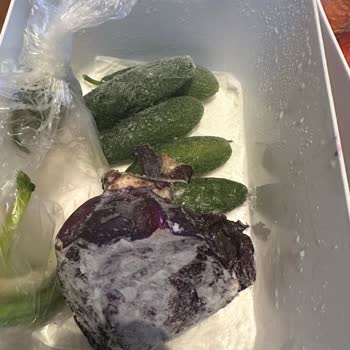 Siemens Buzdolabındaki Tekrarlayan Arıza Ve Gıda Kaybı Nedeniyle Ürün Değişimi Talebi