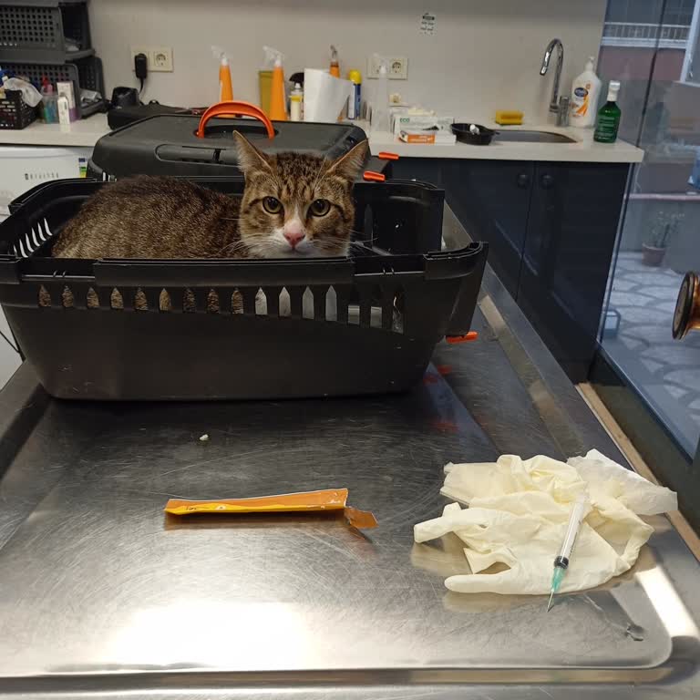 Güvenimi Sarsan Yanlış Fıp Tanısı Ve 50 Bin TL’lik Zarar