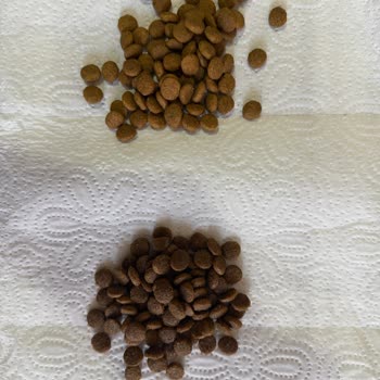 Pet Merkezi Sahte Royal Canin Kedi Maması Ve Uzun Kargo Gecikmesi