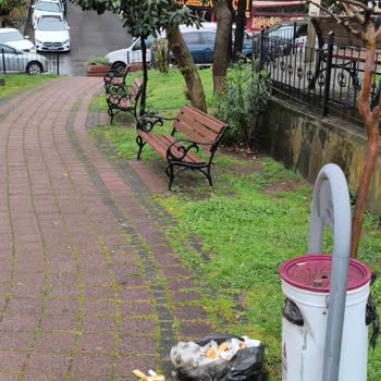 Meşhur Sarıyer Börekçisi (Sütlüce) Çevre Kirliliği Sorunu