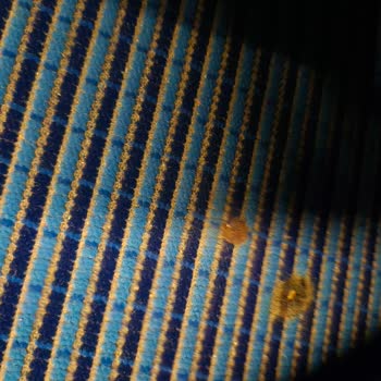 Kirli Otobüs Seyahati Sağlık Korkusu Bilet İadesi Talebi